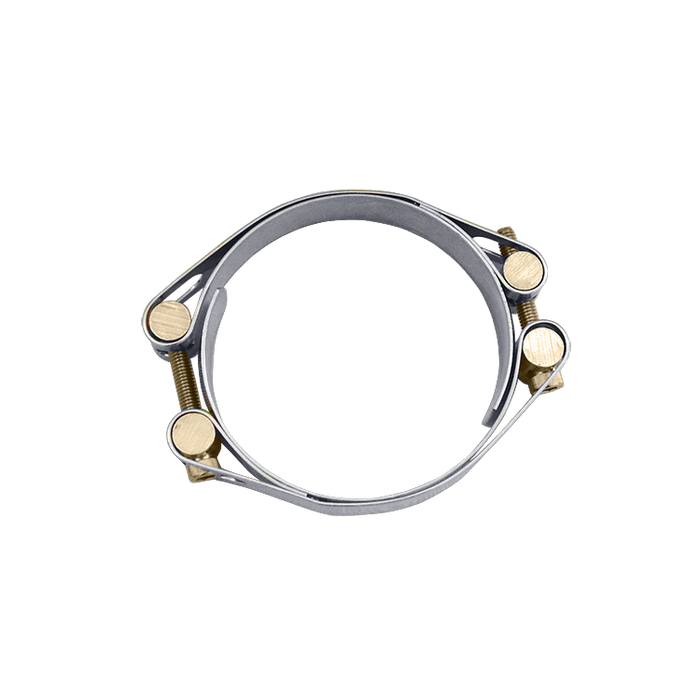 Hose clamp double screw
